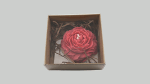 Peony Flower in Square box زهرة البيوني في علبة