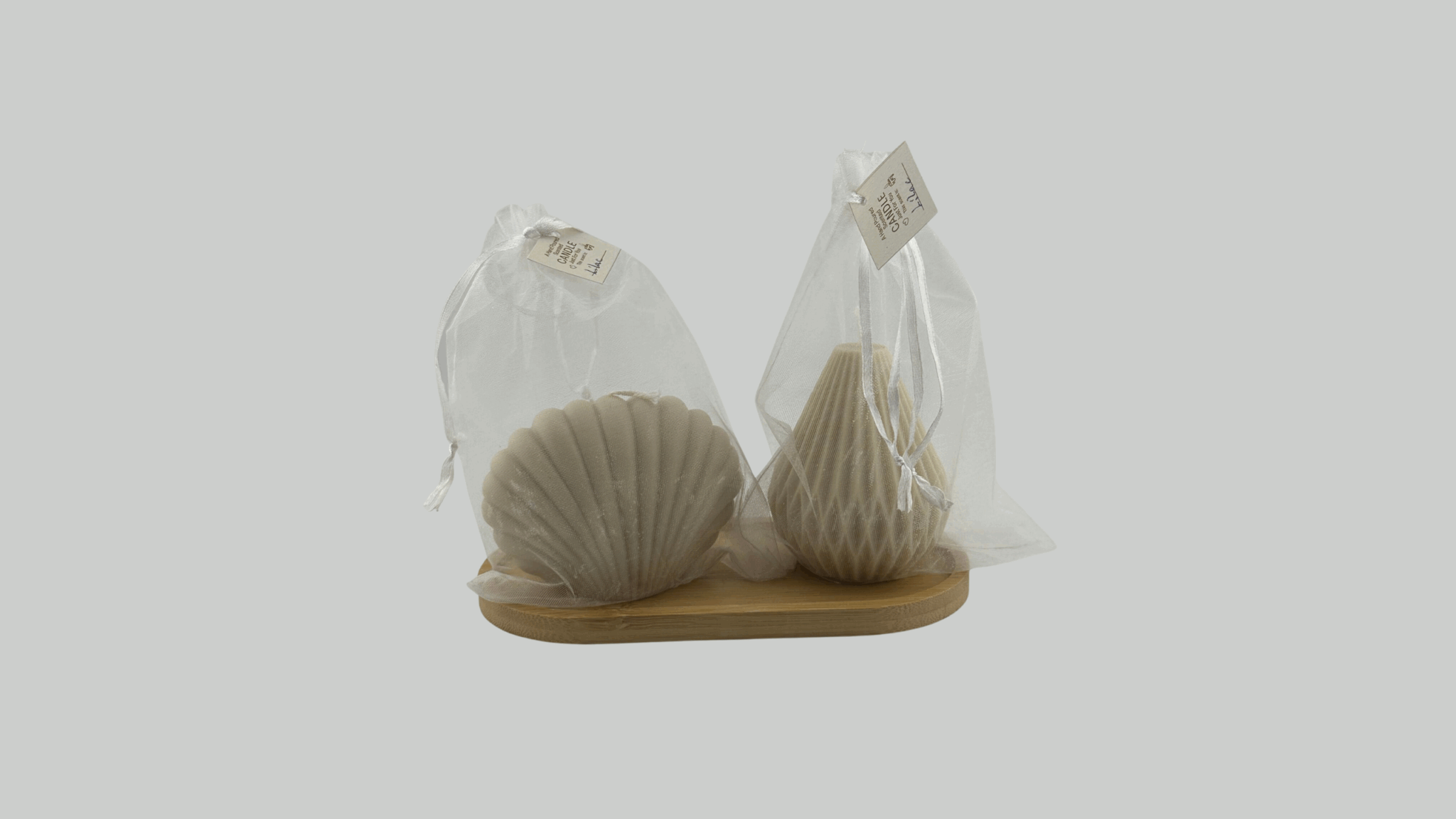 Sea Shell Lantern, beige set فانوس، المجموعة البيج، صدف البحر