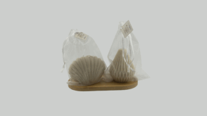 Sea Shell Lantern, beige set فانوس، المجموعة البيج، صدف البحر
