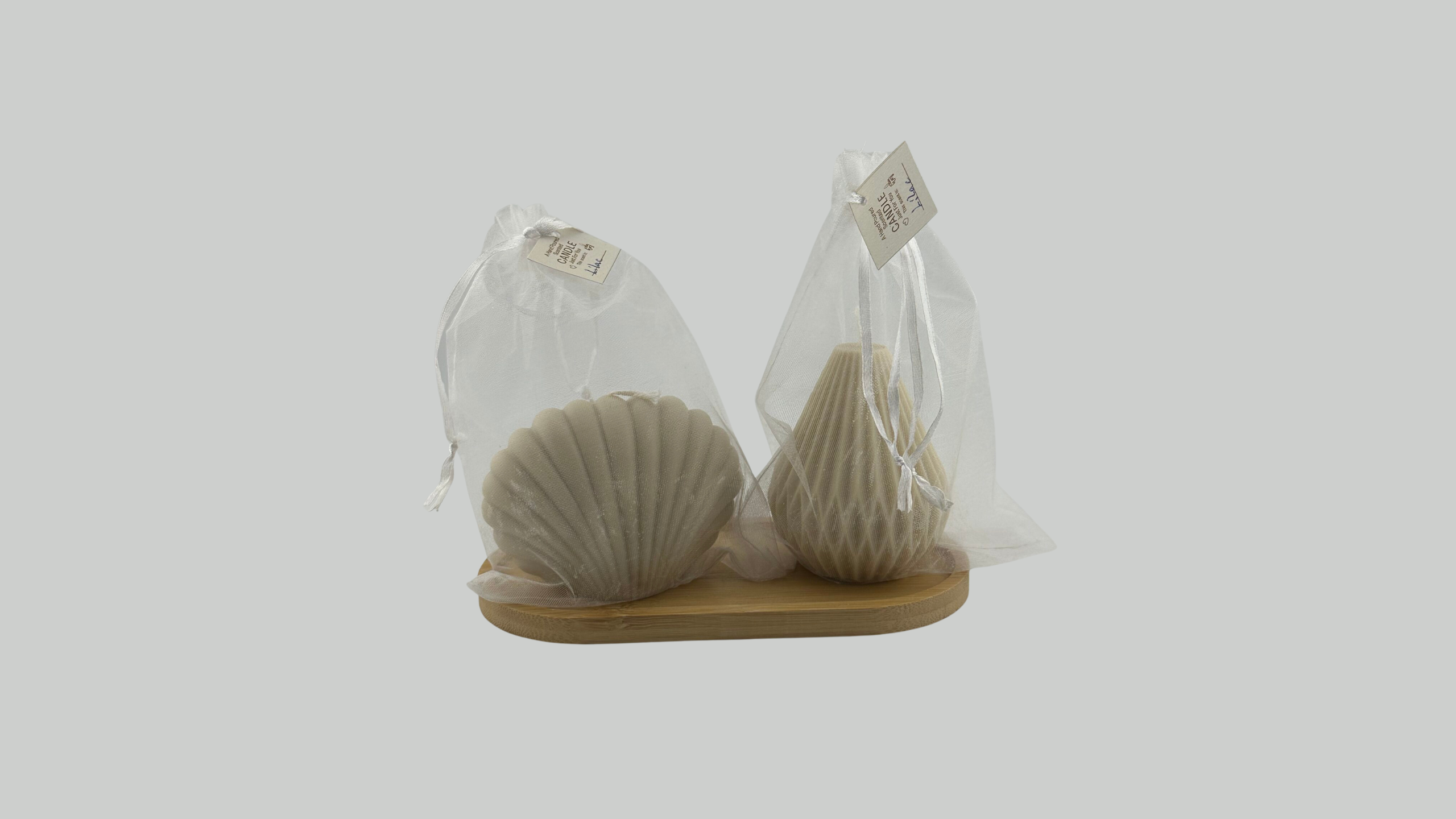 Sea Shell Lantern, beige set فانوس، المجموعة البيج، صدف البحر