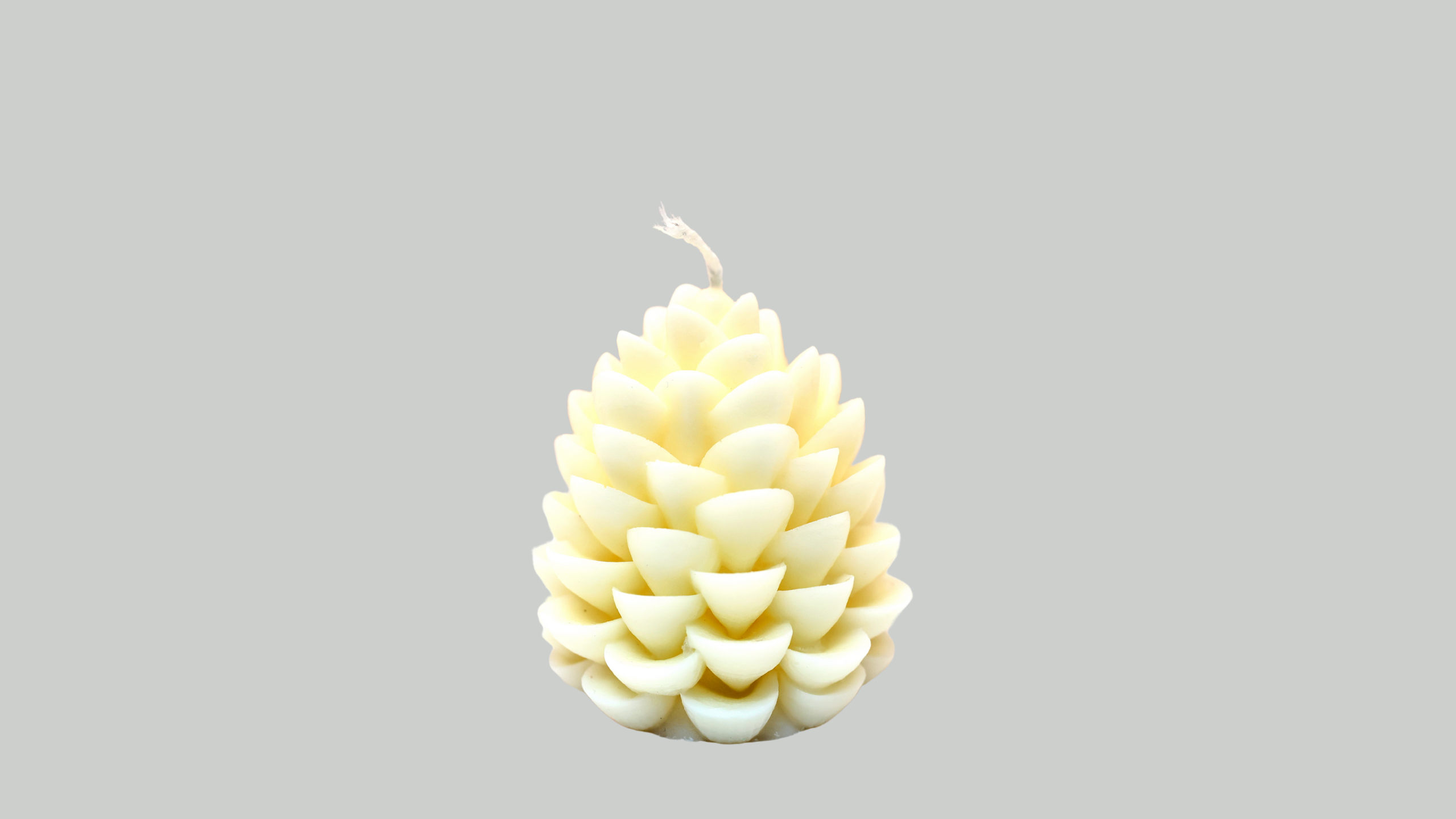 Pine Tree